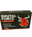 Brutal Force Georgia